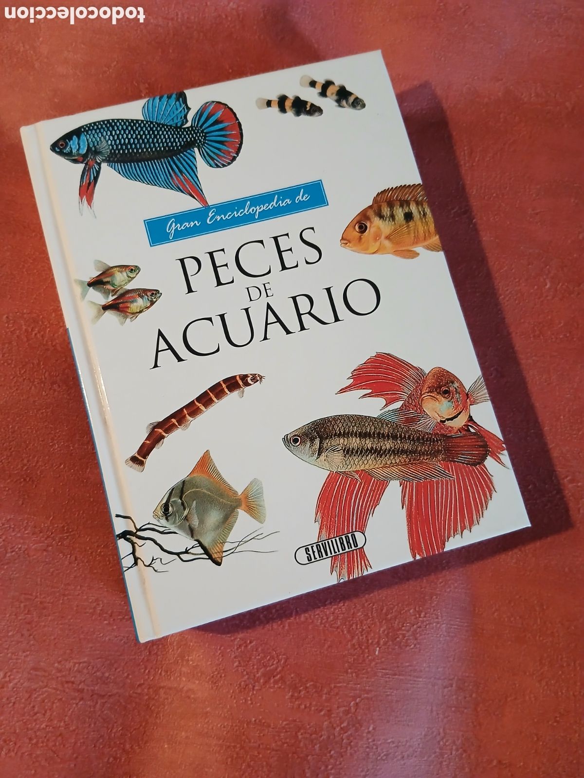 Libros de segunda mano: Gran enciclopedia de peces de acuario. - Foto 1