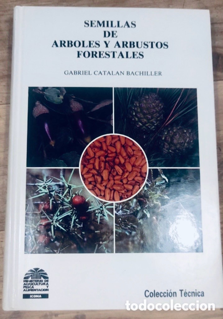 Libros de segunda mano: SEMILLAS DE ARBOLES Y ARBUSTOS FORESTALES - Foto 1