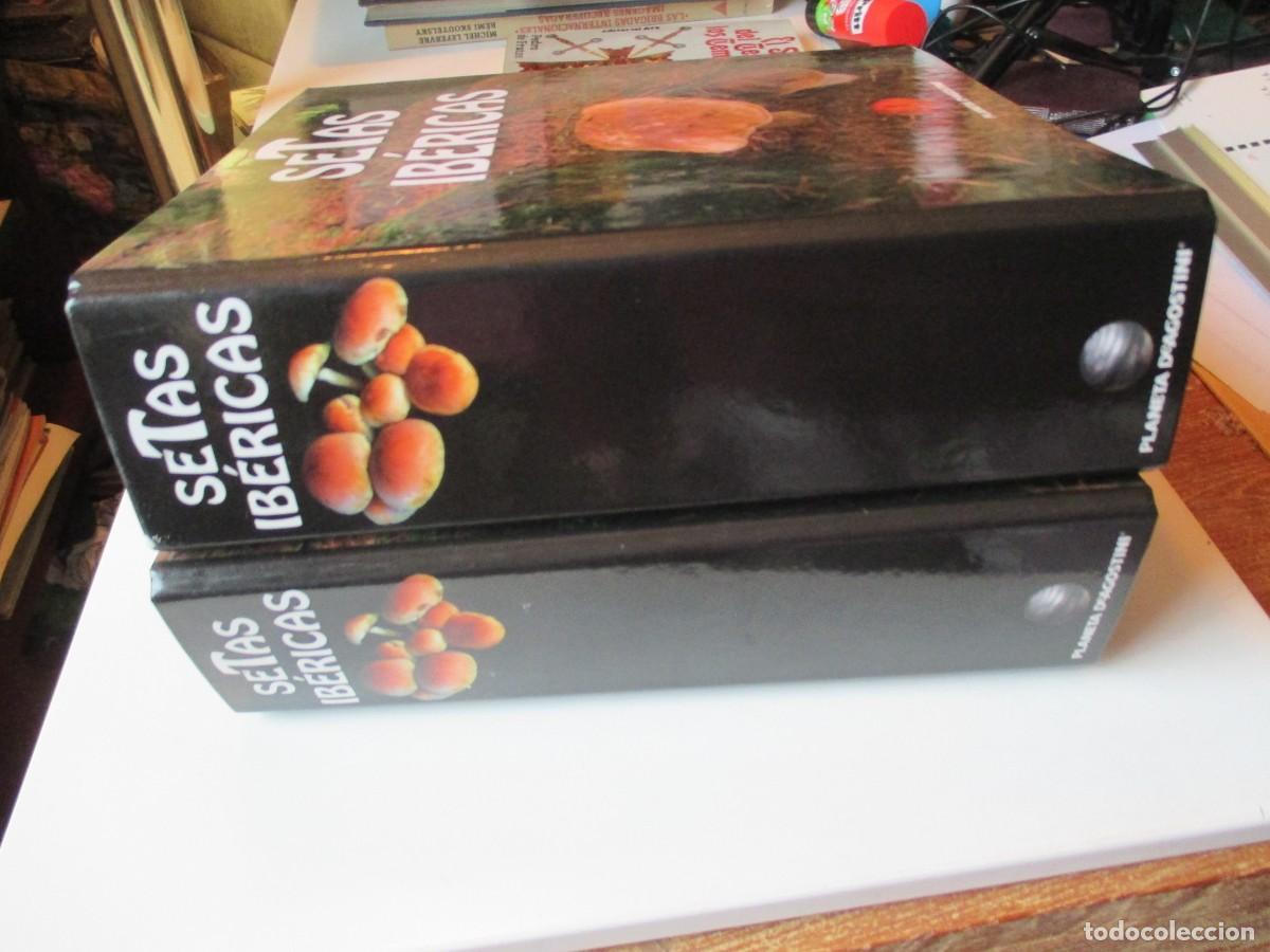 Libros de segunda mano: SETAS IB&Eacute;RICAS ( Dos ficheros) W38129 - Foto 1