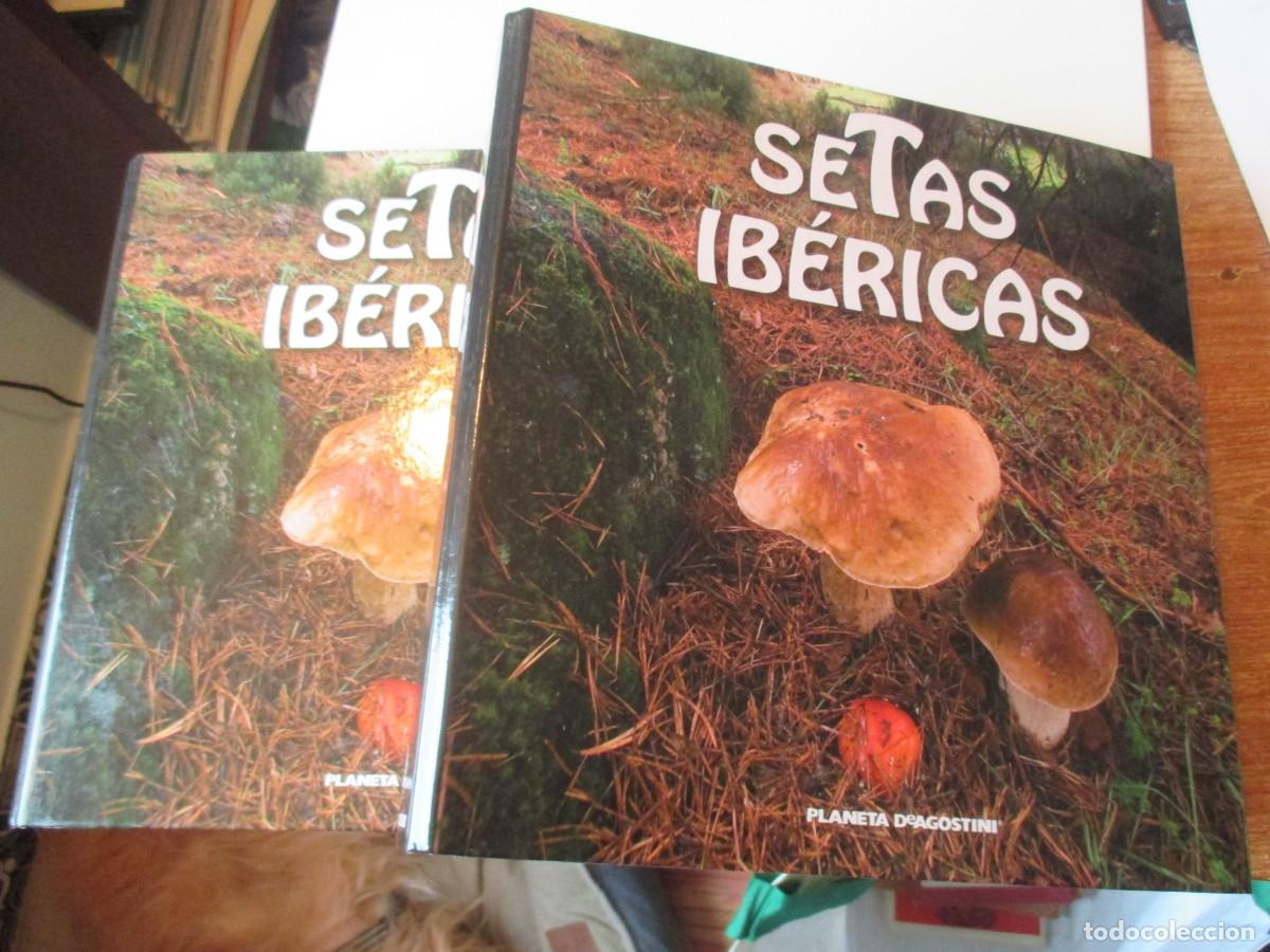 Libros de segunda mano: SETAS IB&Eacute;RICAS ( Dos ficheros) W38129 - Foto 2