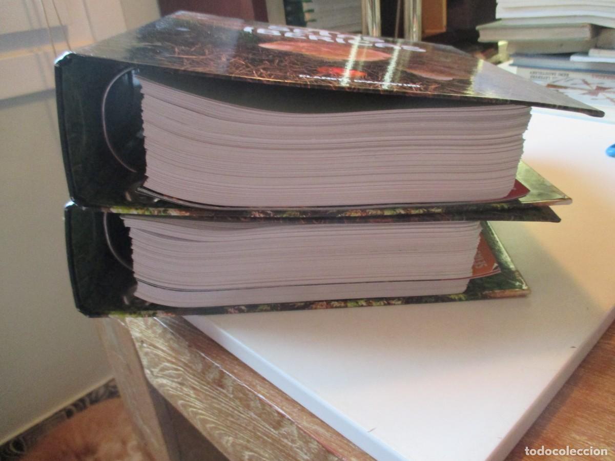 Libros de segunda mano: SETAS IB&Eacute;RICAS ( Dos ficheros) W38129 - Foto 3