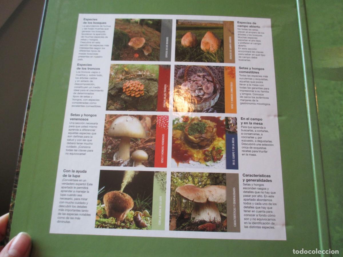 Libros de segunda mano: SETAS IB&Eacute;RICAS ( Dos ficheros) W38129 - Foto 7