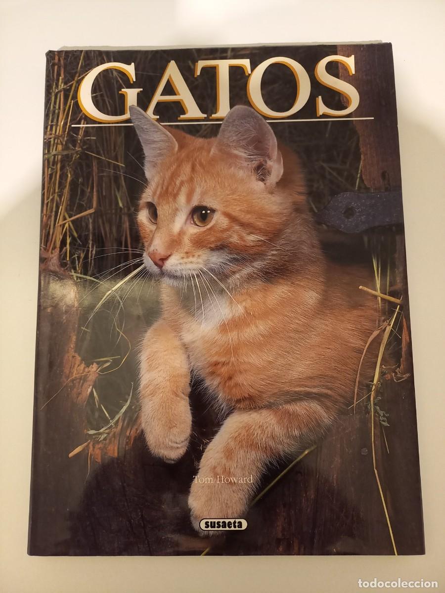 Libros de segunda mano: T&iacute;tulo: GATOS Autor: TOM HOWARD. 1991 - Foto 1