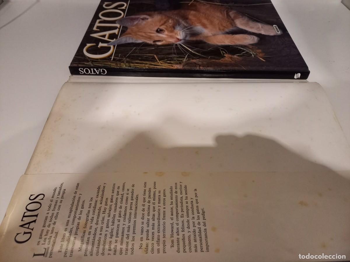 Libros de segunda mano: T&iacute;tulo: GATOS Autor: TOM HOWARD. 1991 - Foto 2