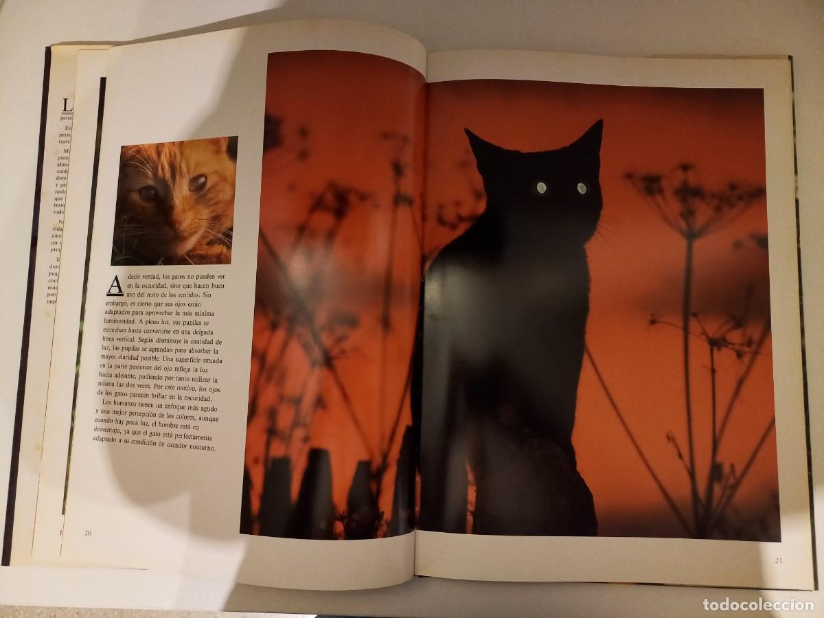Libros de segunda mano: T&iacute;tulo: GATOS Autor: TOM HOWARD. 1991 - Foto 3