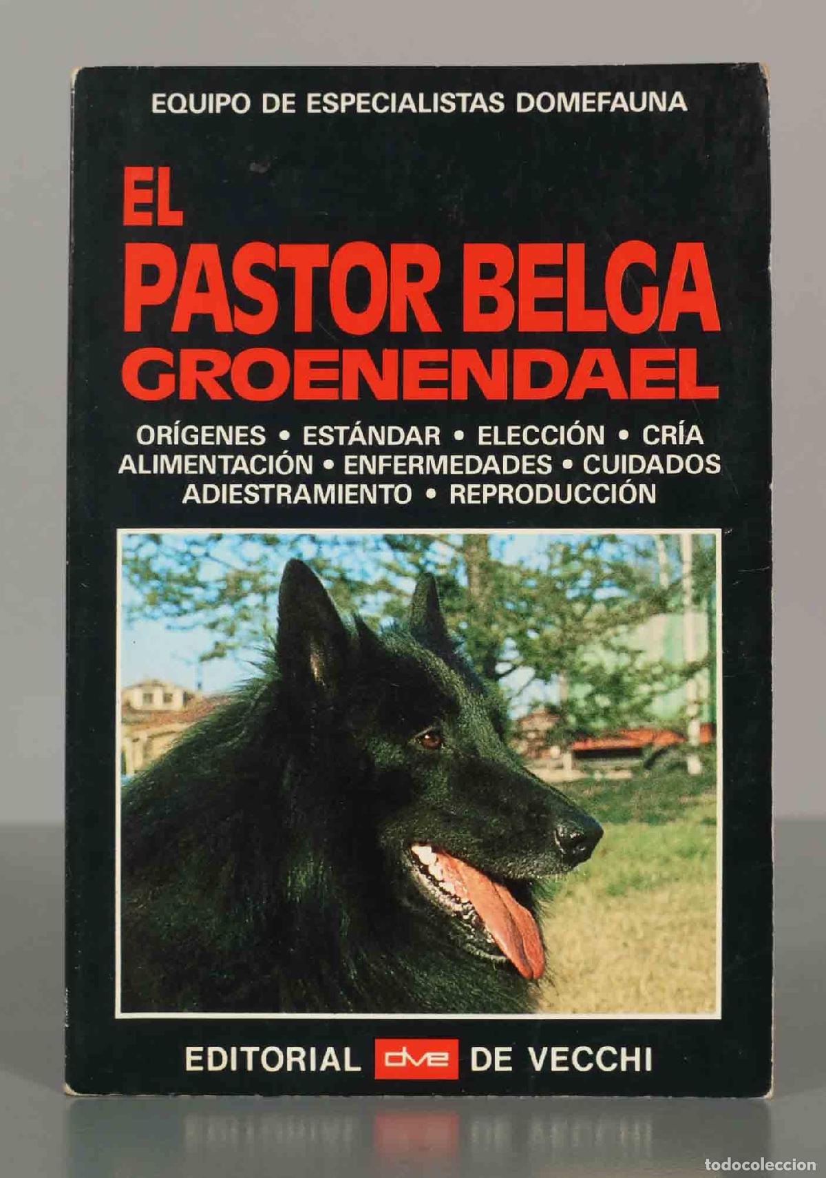Libros de segunda mano: El Pastor Belga Groenendael Domefauna - Foto 1