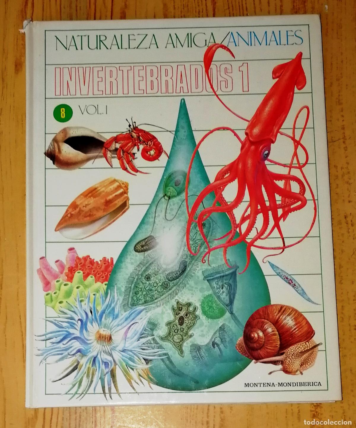 Second hand books: NATURALEZA AMIGA : ANIMALES. 8: Invertebrados 1. Vol. I. - Montena-Mondib&eacute;rica, 1985