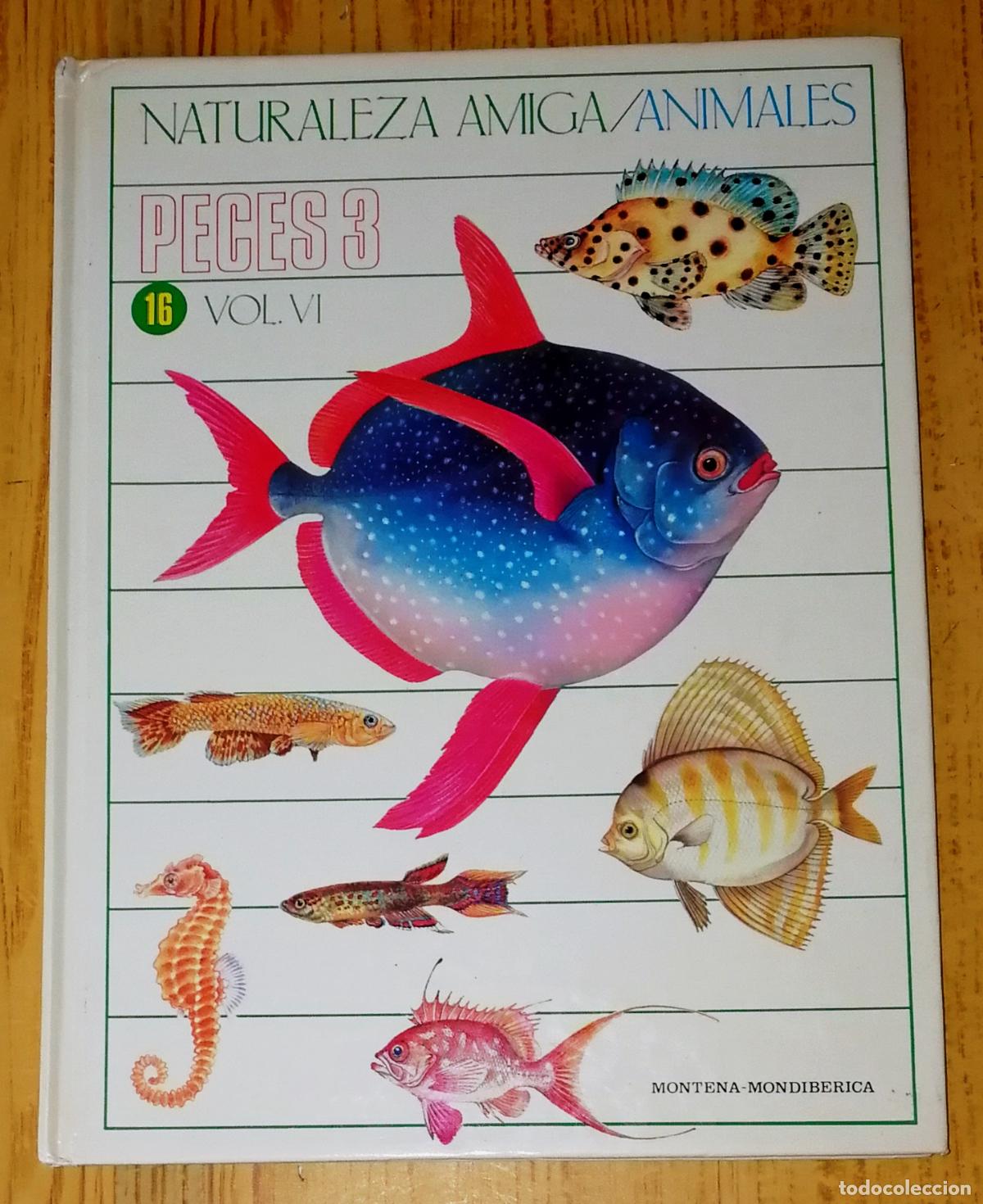 Second hand books: NATURALEZA AMIGA : ANIMALES. 16: Peces 3. Vol. VI. - Montena-Mondib&eacute;rica, 1985