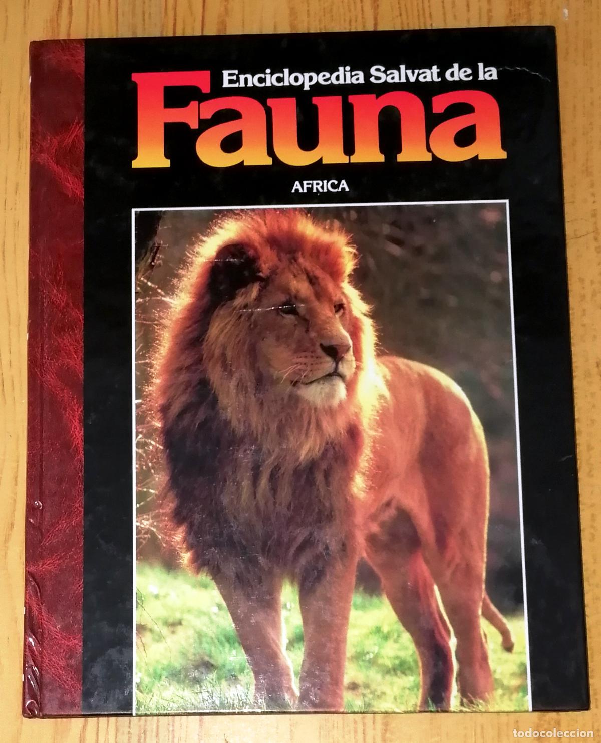 Second hand books: ENCICLOPEDIA SALVAT DE LA FAUNA. Tomo 1 : &Aacute;frica : (Regi&oacute;n eti&oacute;pica) / F&eacute;lix Rodr&iacute;guez de la Fuente.