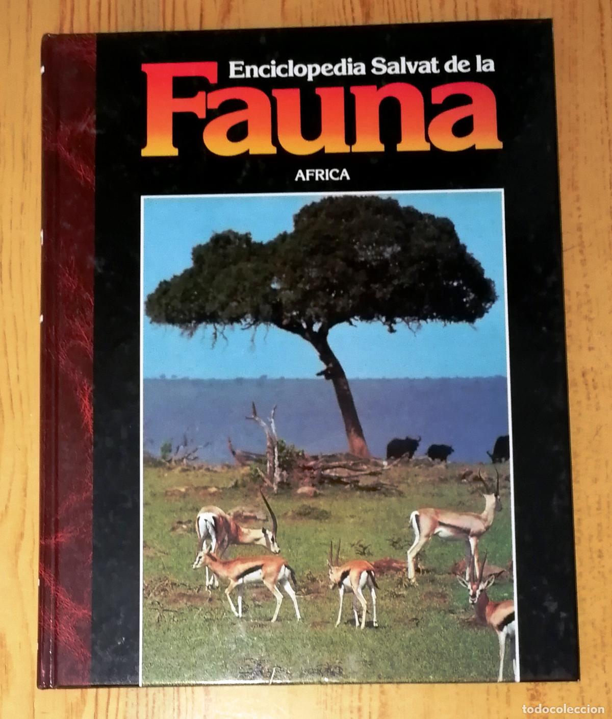 Second hand books: ENCICLOPEDIA SALVAT DE LA FAUNA. Tomo 2 : &Aacute;frica : (Regi&oacute;n eti&oacute;pica) / F&eacute;lix Rodr&iacute;guez de la Fuente.