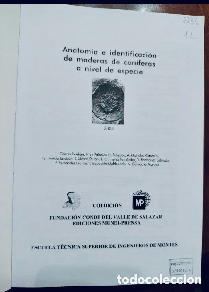 Libros de segunda mano: Anatom&iacute;a e identificaci&oacute;n de maderas de con&iacute;feras a nivel de especie - Foto 2