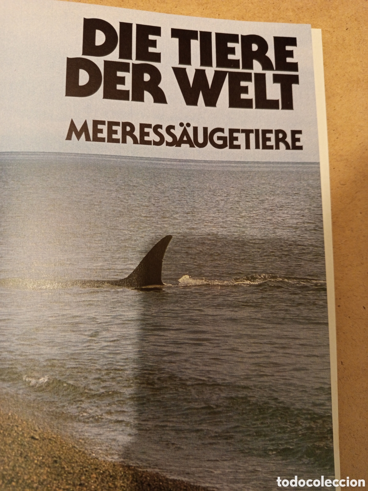 Libros de segunda mano: WALE DELPHINE. UND ANDERE MEERESSAUGETIERE - Foto 2