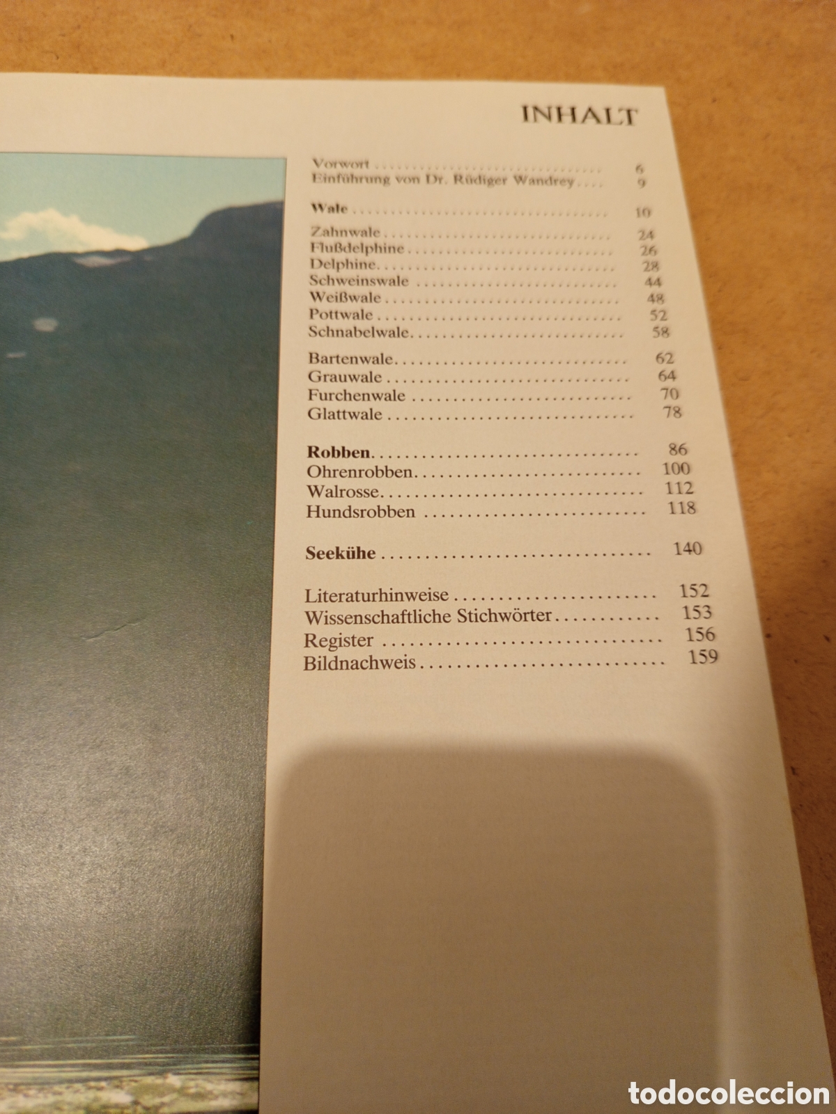 Libros de segunda mano: WALE DELPHINE. UND ANDERE MEERESSAUGETIERE - Foto 3