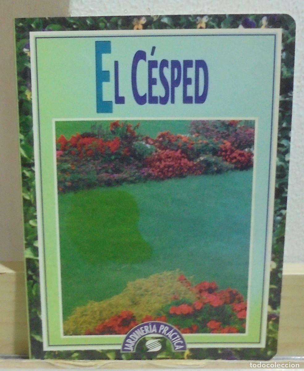 Libros de segunda mano: El c&eacute;sped. Michel Saur - Foto 1