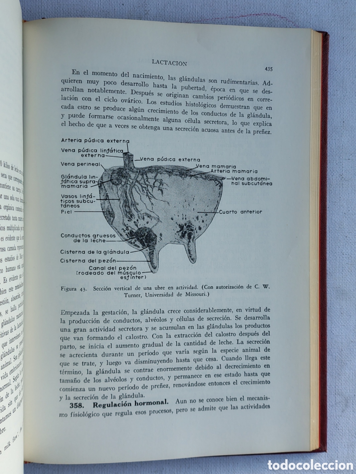 Libros de segunda mano: Nutrici&oacute;n animal &ndash; Leonardo A. Maynard - Foto 5