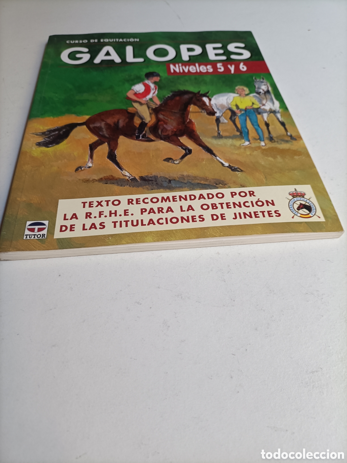 Libros de segunda mano: Curso de equitaci&oacute;n. Galopes. Niveles 5 y 6 . Caballos - Foto 3