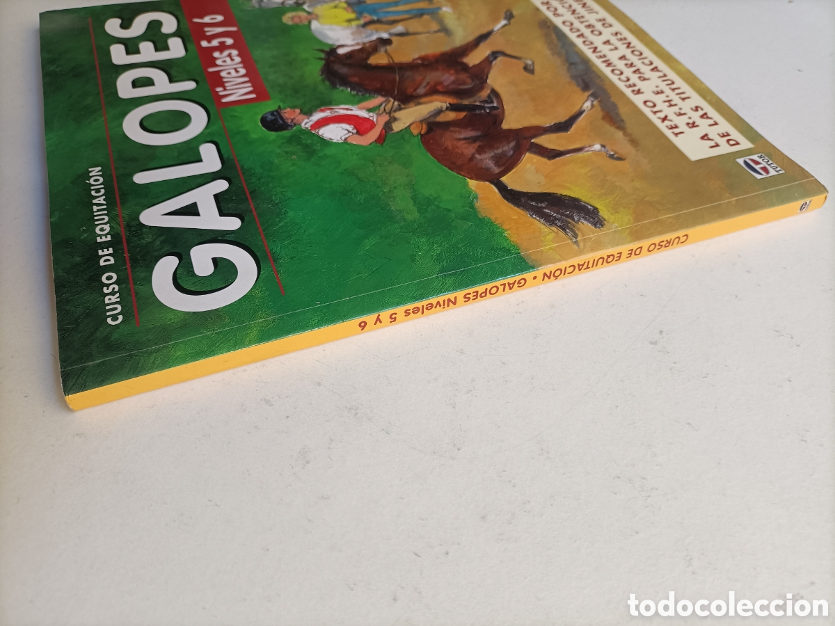 Libros de segunda mano: Curso de equitaci&oacute;n. Galopes. Niveles 5 y 6 . Caballos - Foto 4