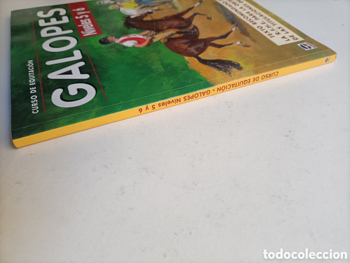 Libros de segunda mano: Curso de equitaci&oacute;n. Galopes. Niveles 5 y 6 . Caballos - Foto 5