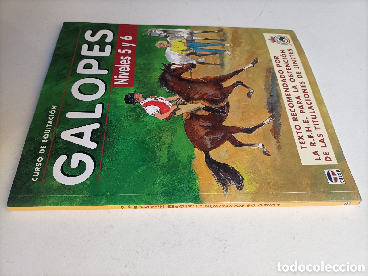Libros de segunda mano: Curso de equitaci&oacute;n. Galopes. Niveles 5 y 6 . Caballos - Foto 1