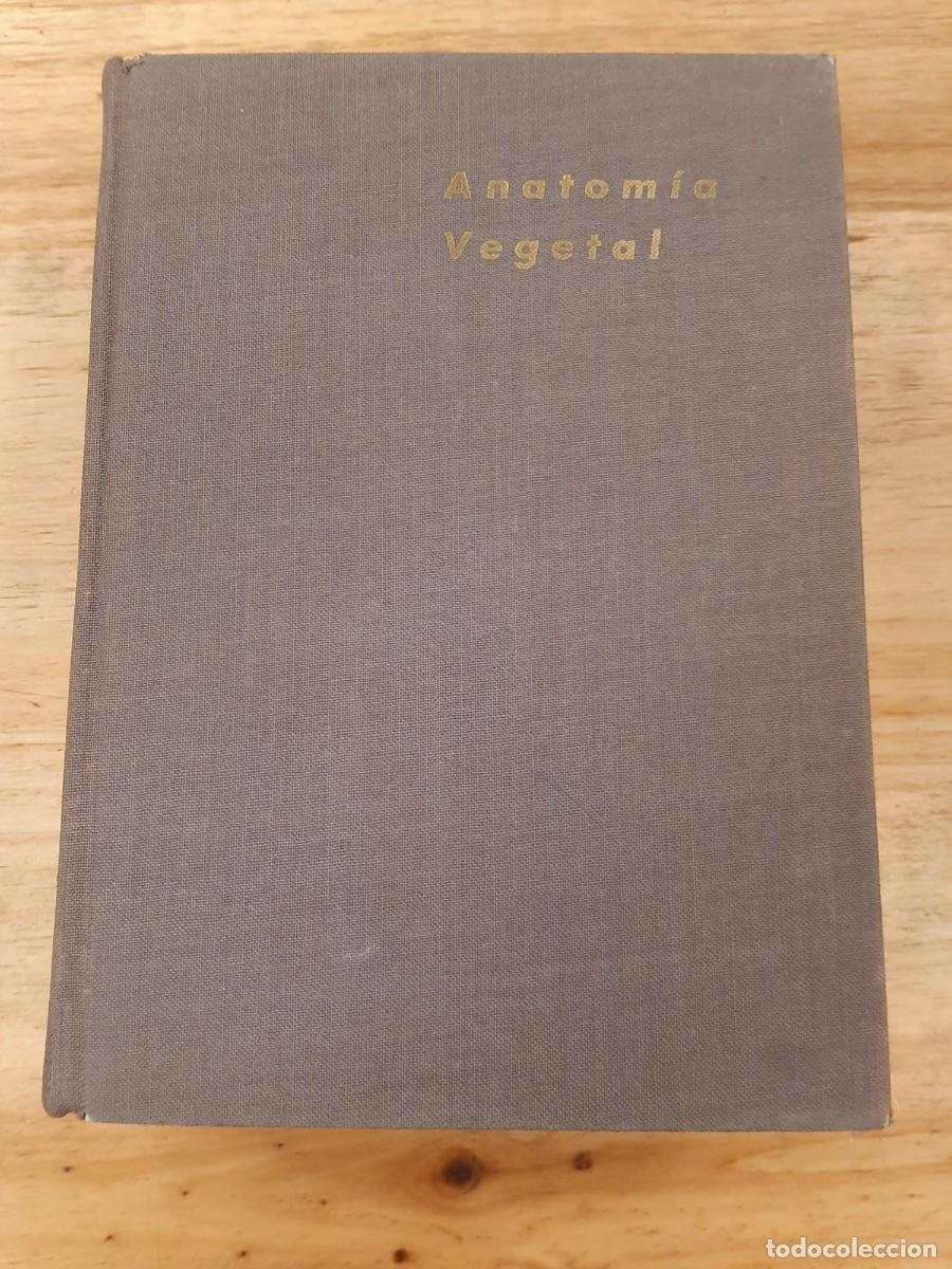 Libros de segunda mano: Anatom&iacute;a vegetal - Katherine Esau - Ediciones Omega en 1972 - Foto 1