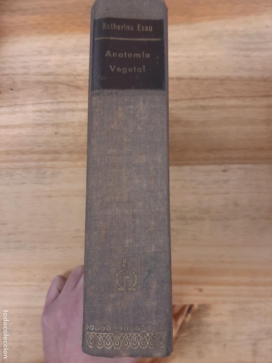 Libros de segunda mano: Anatom&iacute;a vegetal - Katherine Esau - Ediciones Omega en 1972 - Foto 2