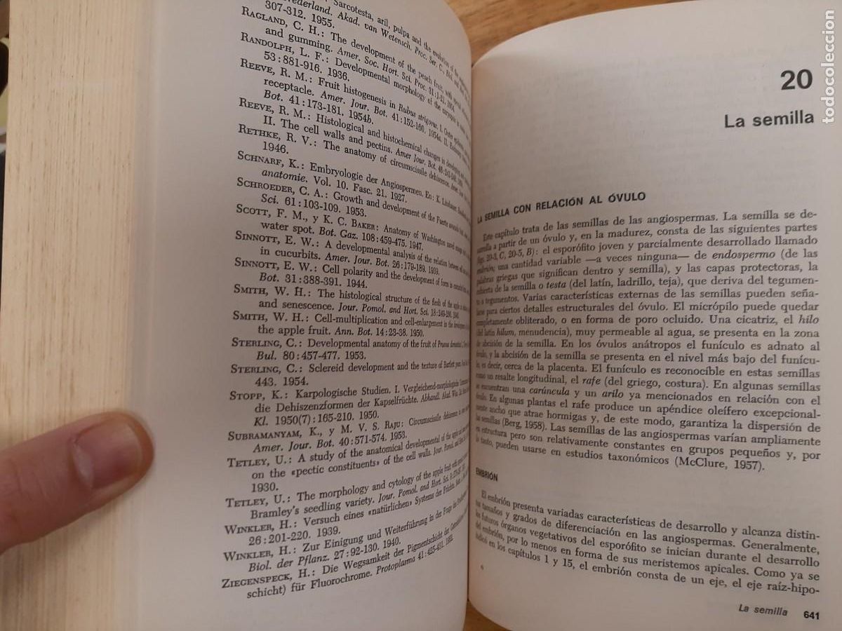 Libros de segunda mano: Anatom&iacute;a vegetal - Katherine Esau - Ediciones Omega en 1972 - Foto 9