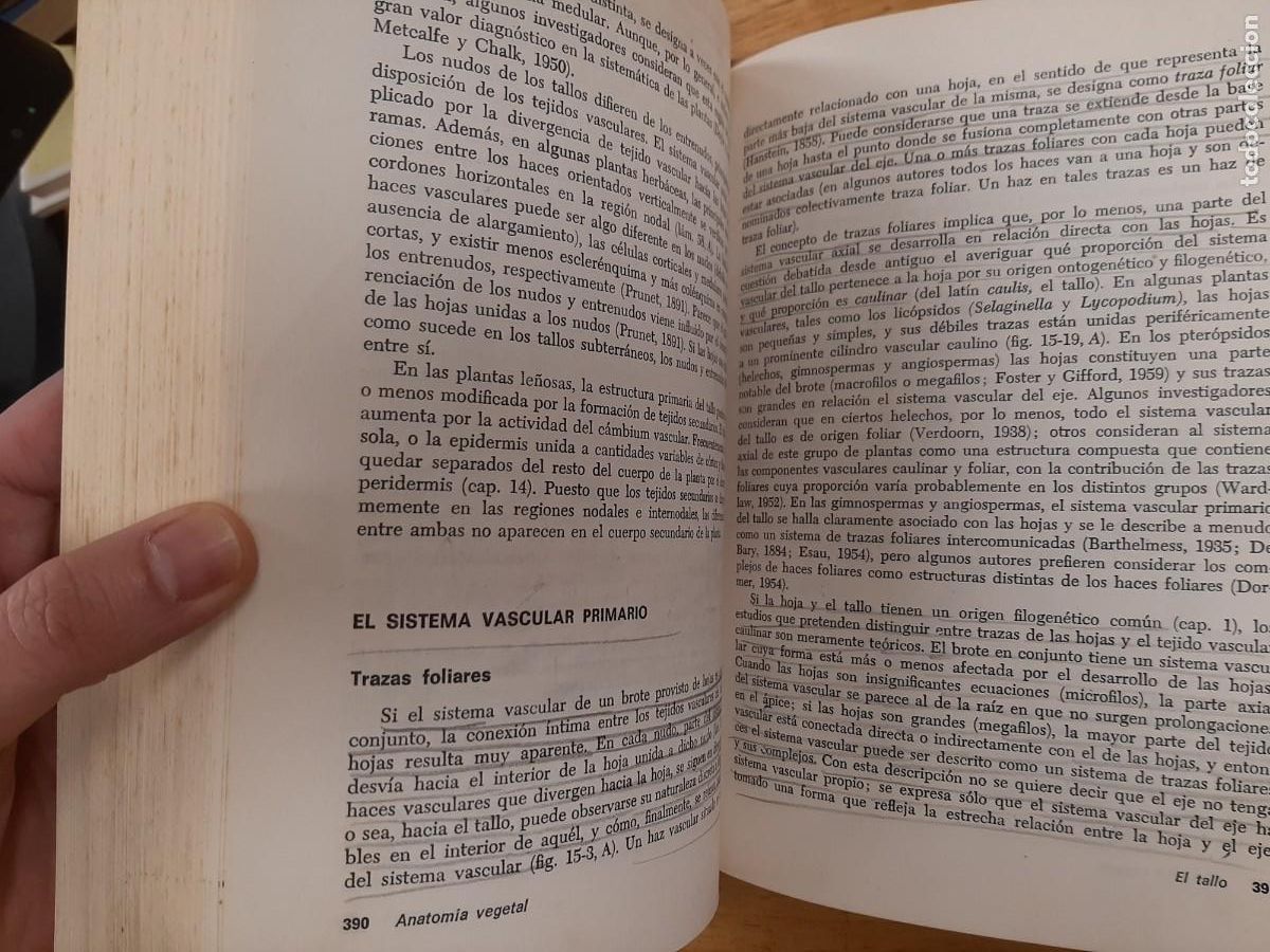 Libros de segunda mano: Anatom&iacute;a vegetal - Katherine Esau - Ediciones Omega en 1972 - Foto 12