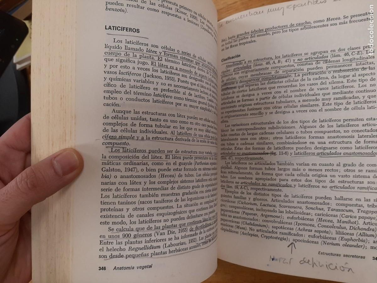 Libros de segunda mano: Anatom&iacute;a vegetal - Katherine Esau - Ediciones Omega en 1972 - Foto 13