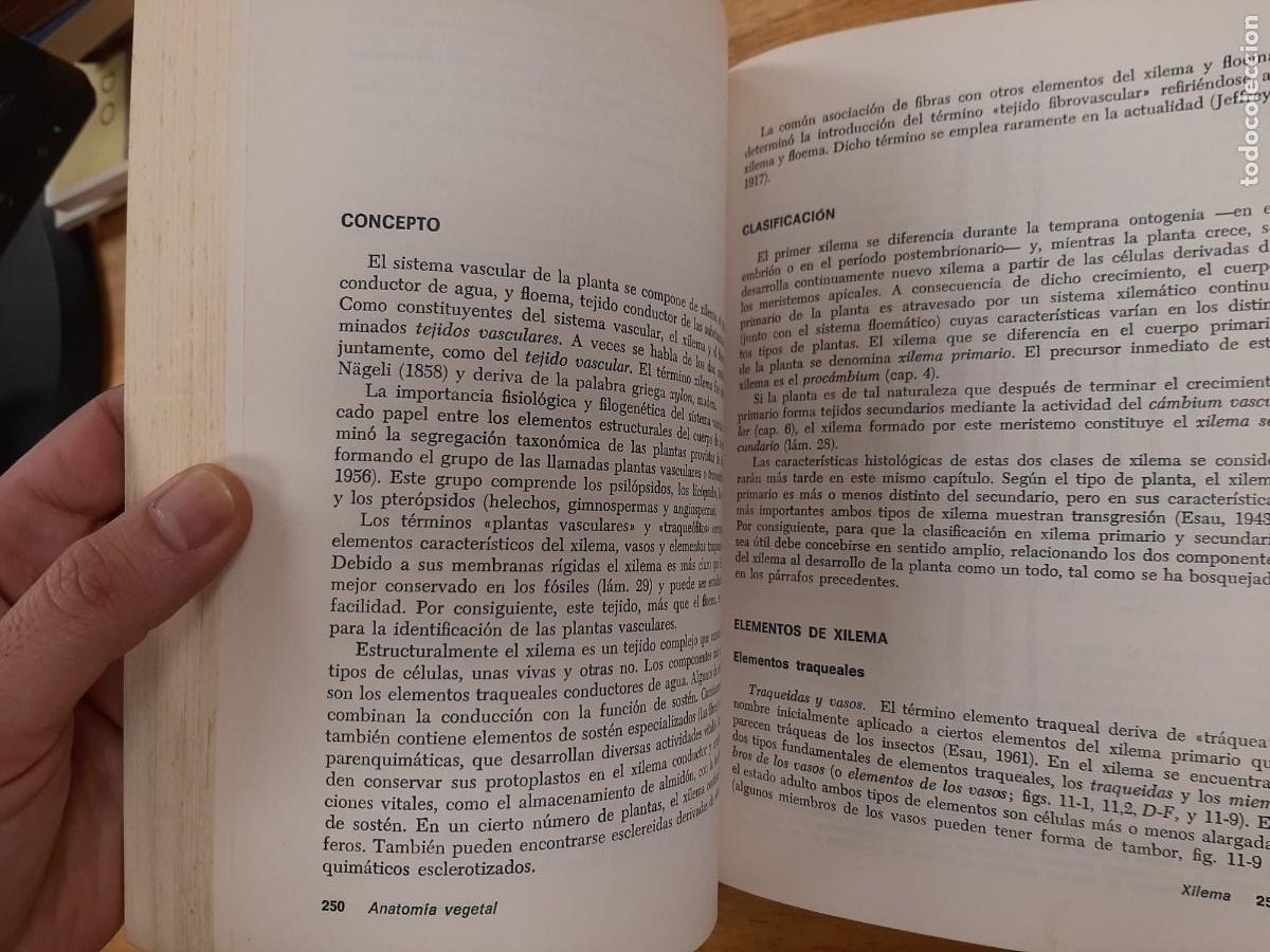 Libros de segunda mano: Anatom&iacute;a vegetal - Katherine Esau - Ediciones Omega en 1972 - Foto 14