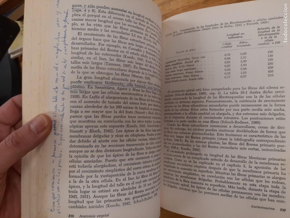 Libros de segunda mano: Anatom&iacute;a vegetal - Katherine Esau - Ediciones Omega en 1972 - Foto 15