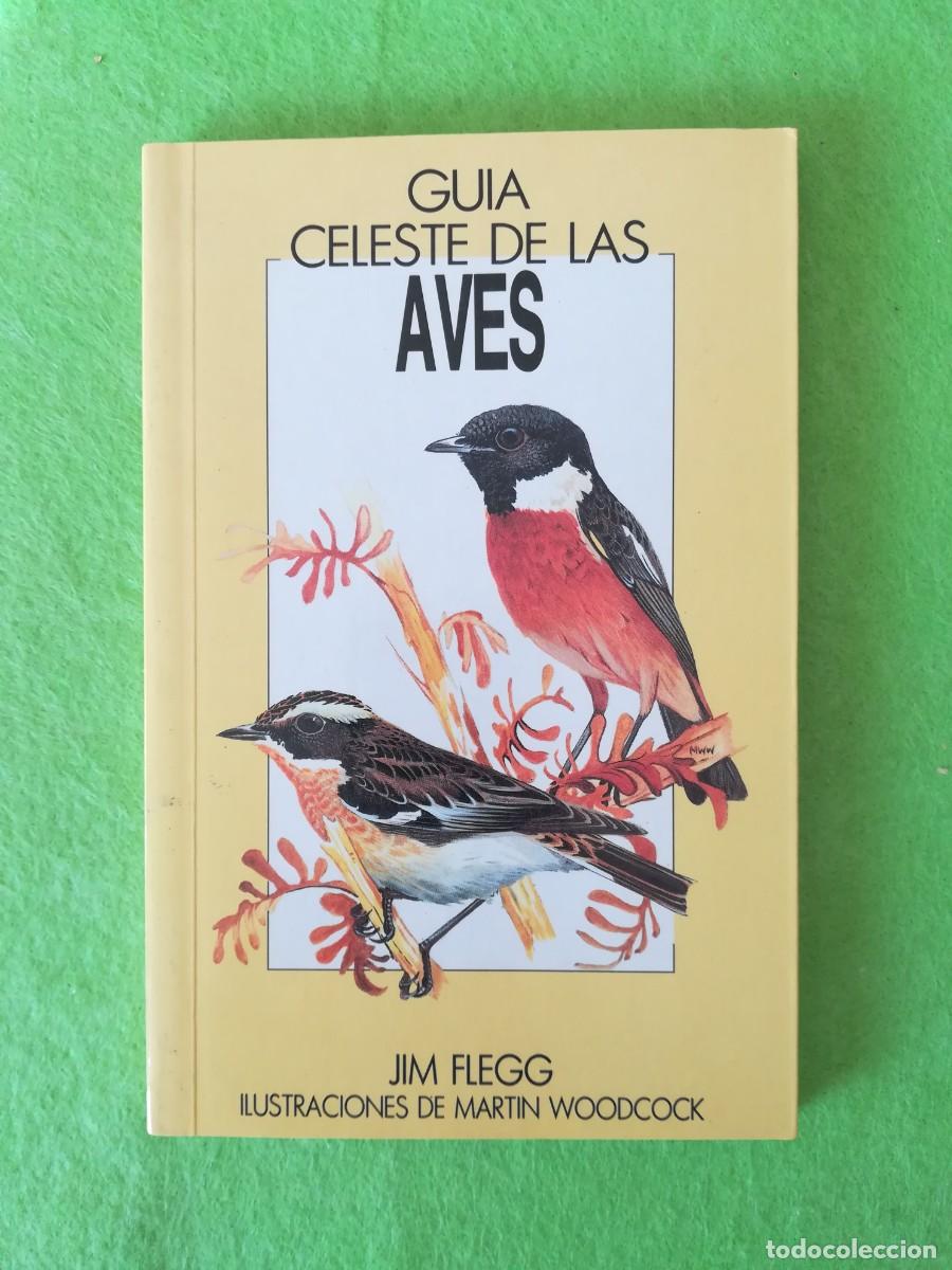 Libros de segunda mano: Guia celeste de las aves Jim Flegg Celeste Ediciones - Foto 1