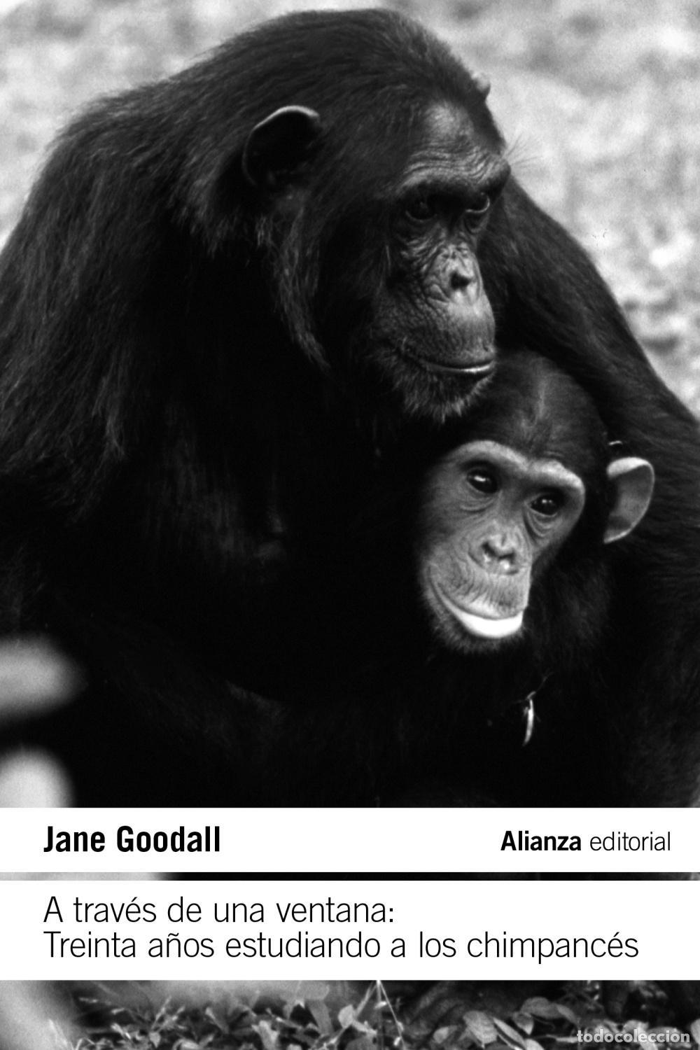 Gebrauchte B&uuml;cher: A trav&eacute;s de una ventana: Treinta a&ntilde;os estudiando a los chimpanc&eacute;s. - Goodall, Jane.