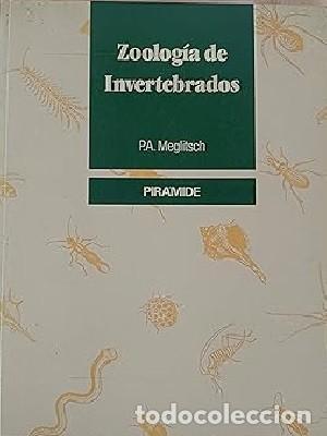 Libros de segunda mano: Zoologia de invertebrados - Foto 1