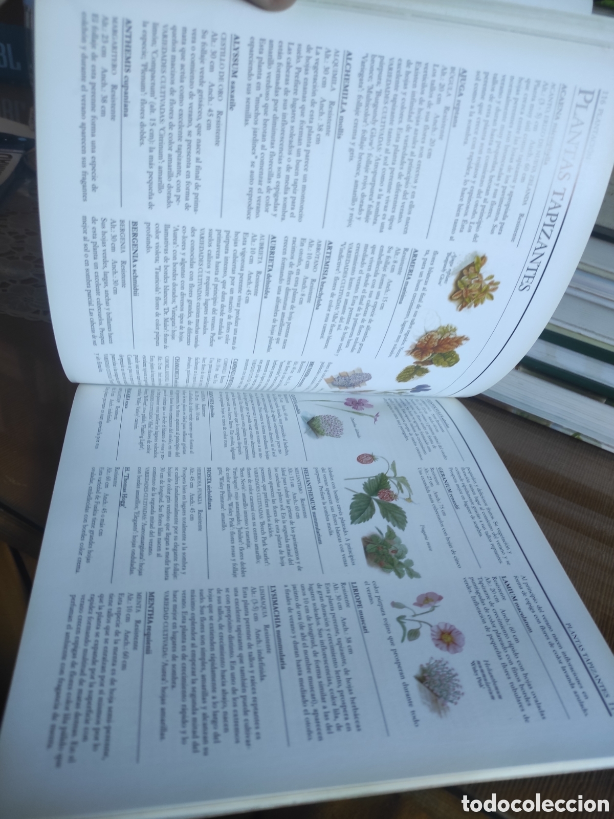 Libros de segunda mano: DISE&Ntilde;O DE TERRAZAS - Hazel Evans. - Foto 3