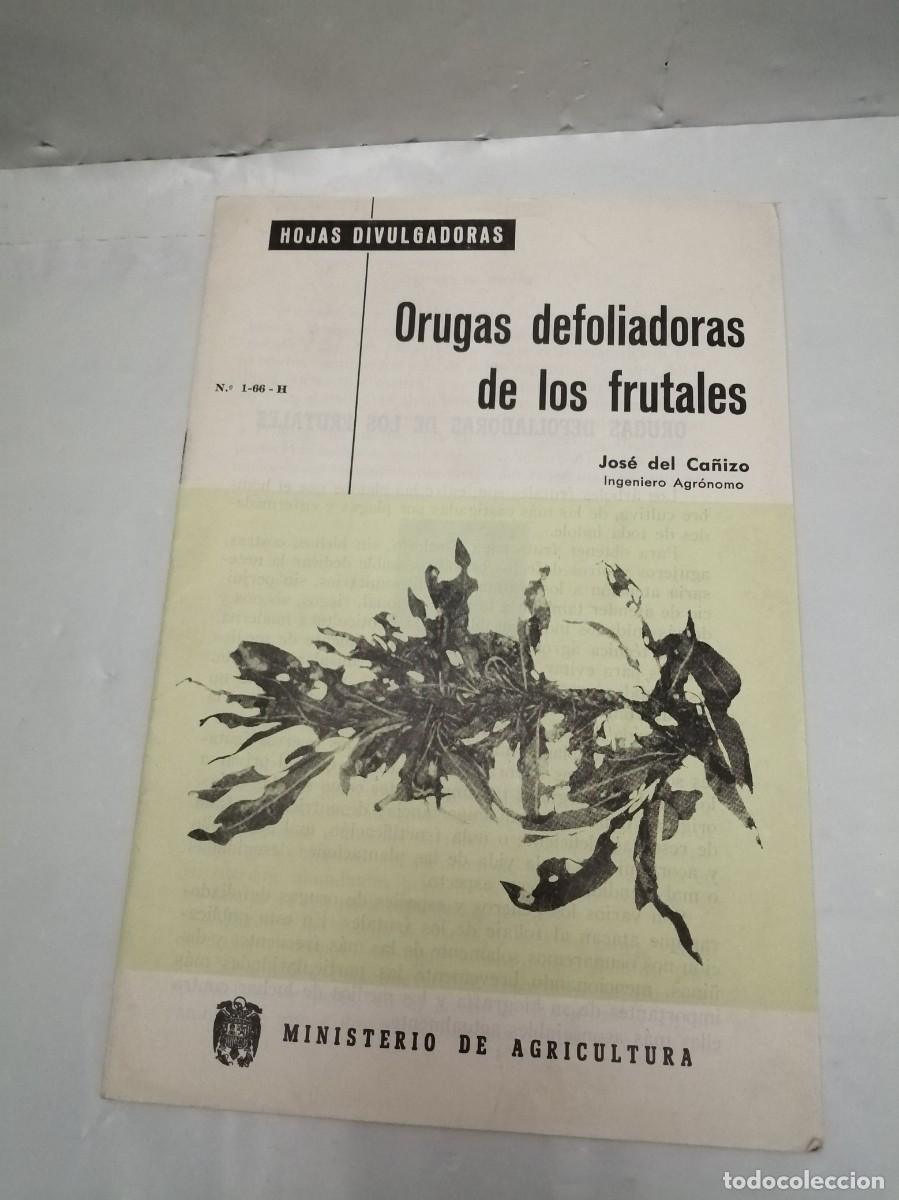 Libros de segunda mano: Orugas defoliadoras de los frutales (edici&oacute;n revisada 1969, Colecci&oacute;n: Hojas Divulgadoras)