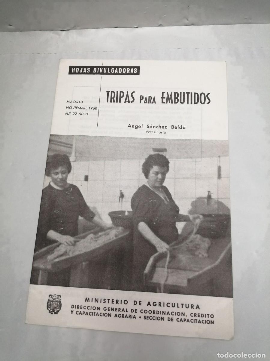 Libros de segunda mano: TRIPAS PARA EMBUTIDOS (Colecci&oacute;n: Hojas Divulgadoras)