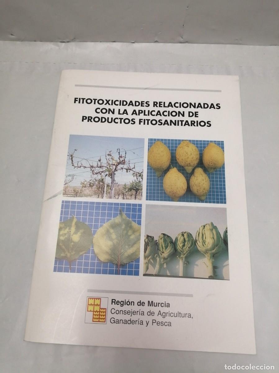 Libros de segunda mano: Fitotoxicidades Relacionadas con la Aplicaci&oacute;n de Productos Fitosanitarios