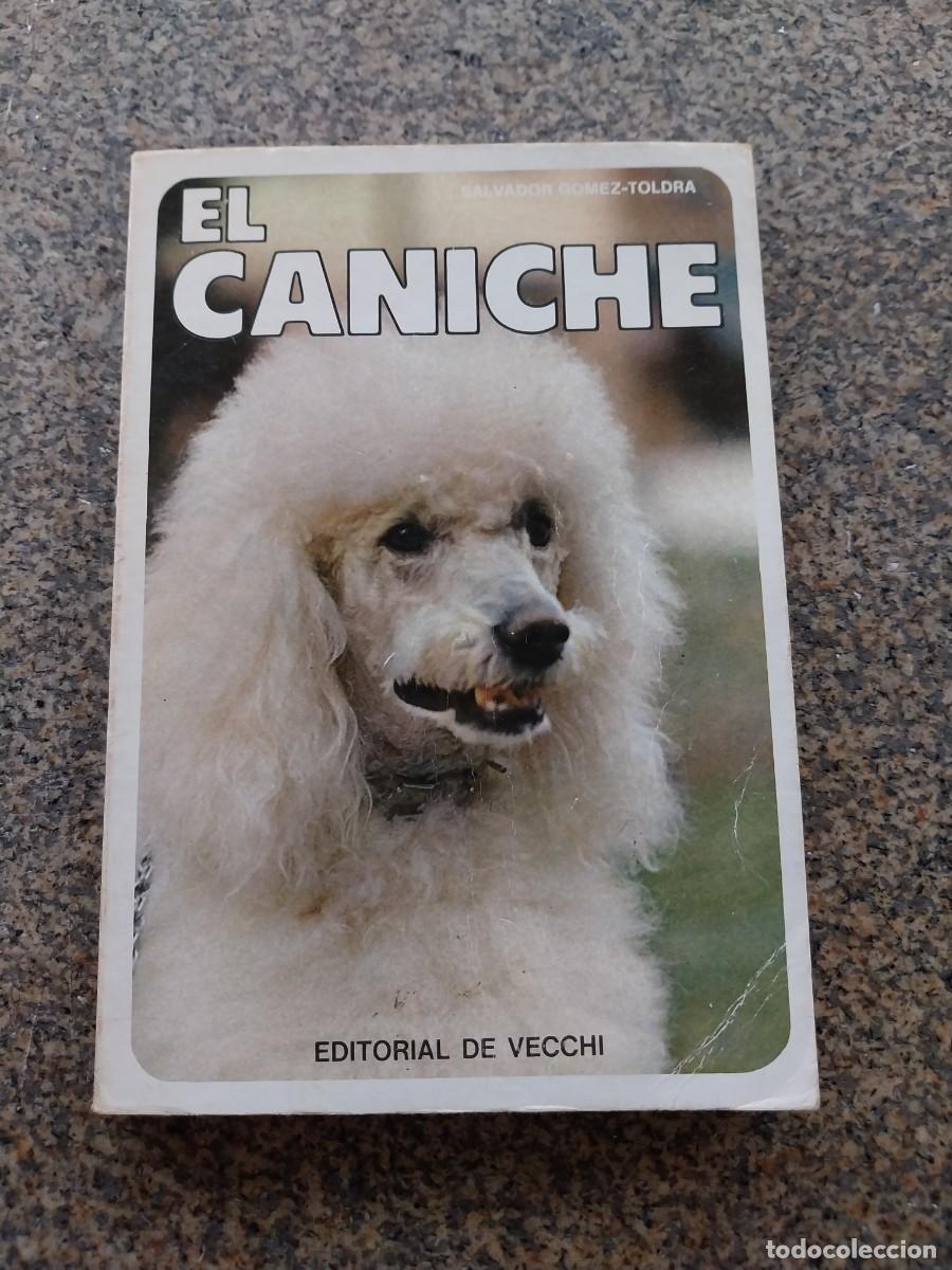 Libros de segunda mano: EL CANICHE -- DE VECCHI 1976 -- - Foto 1