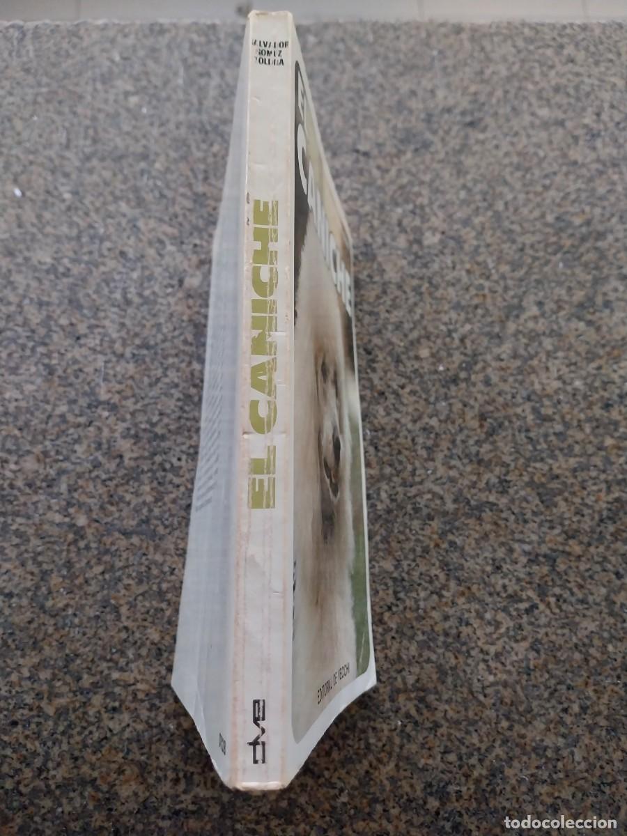 Libros de segunda mano: EL CANICHE -- DE VECCHI 1976 -- - Foto 3