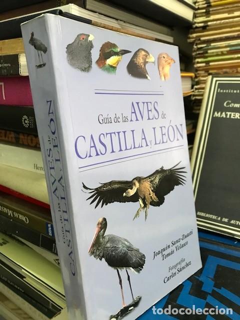 Gebrauchte B&uuml;cher: Gu&iacute;a de las Aves de Castilla y Le&oacute;n Joaqu&iacute;n Sanz Zuasti Tom&aacute;s Velasco