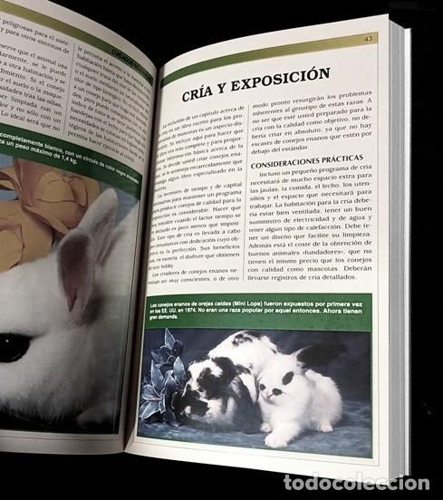 Libros de segunda mano: MANUAL PRACTICO DEL CONEJO ENANO. CRIA. CUIDADOS. RAZAS. - Foto 2