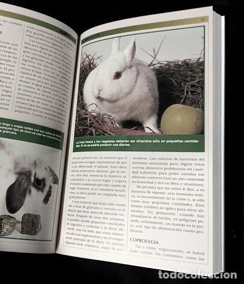 Libros de segunda mano: MANUAL PRACTICO DEL CONEJO ENANO. CRIA. CUIDADOS. RAZAS. - Foto 3