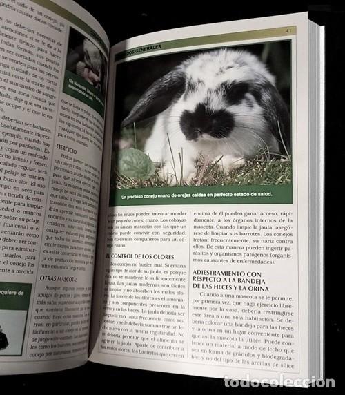 Libros de segunda mano: MANUAL PRACTICO DEL CONEJO ENANO. CRIA. CUIDADOS. RAZAS. - Foto 4