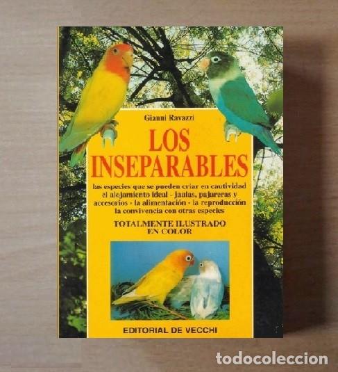 Libros de segunda mano: LOROS. PAPAGAYOS. LOS INSEPARABLES. CRIA. RAZAS. CUIDADOS. AVES. - Foto 1