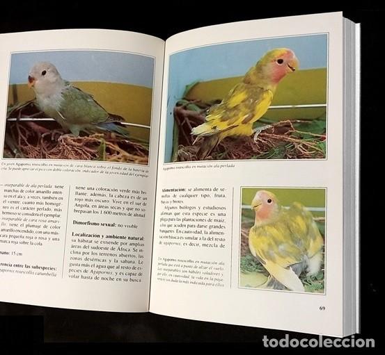 Libros de segunda mano: LOROS. PAPAGAYOS. LOS INSEPARABLES. CRIA. RAZAS. CUIDADOS. AVES. - Foto 3