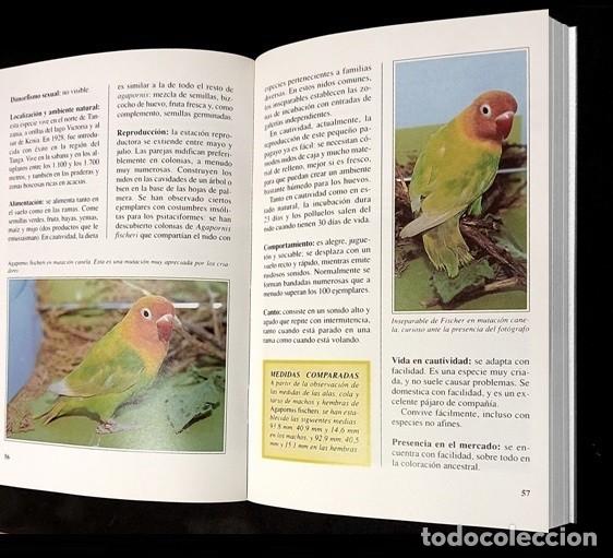 Libros de segunda mano: LOROS. PAPAGAYOS. LOS INSEPARABLES. CRIA. RAZAS. CUIDADOS. AVES. - Foto 5