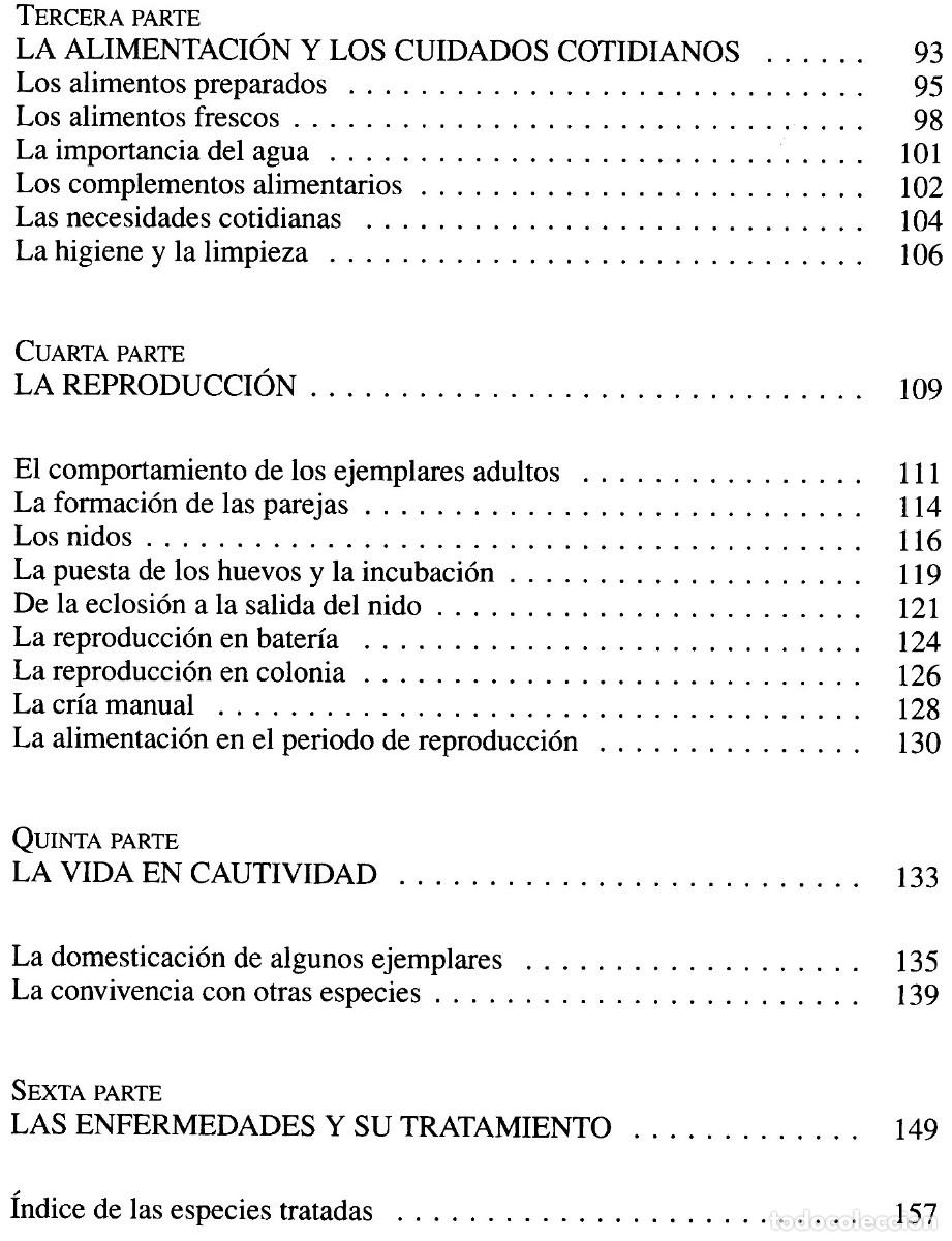 Libros de segunda mano: LOROS. PAPAGAYOS. LOS INSEPARABLES. CRIA. RAZAS. CUIDADOS. AVES. - Foto 8