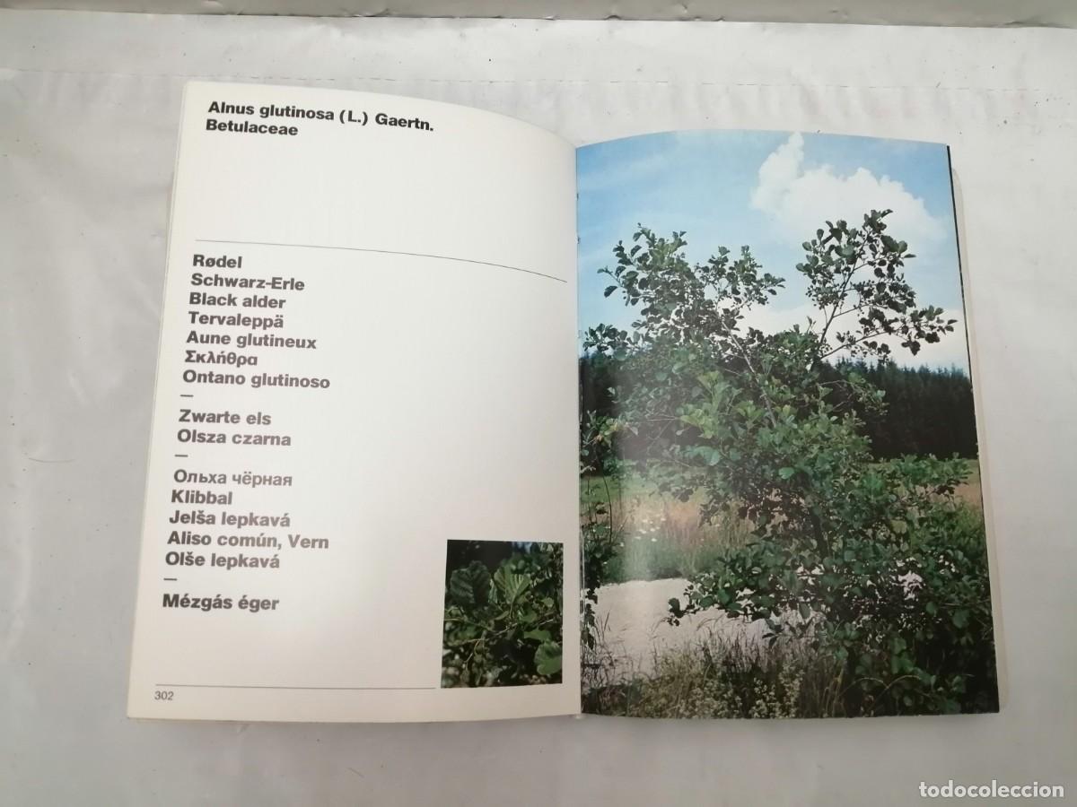 Libros de segunda mano: Schering AG: Manual de Malezas (segunda edici&oacute;n revisada y extendida) - Foto 3