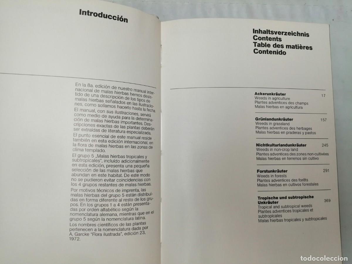 Libros de segunda mano: Schering AG: Manual de Malezas (segunda edici&oacute;n revisada y extendida) - Foto 6