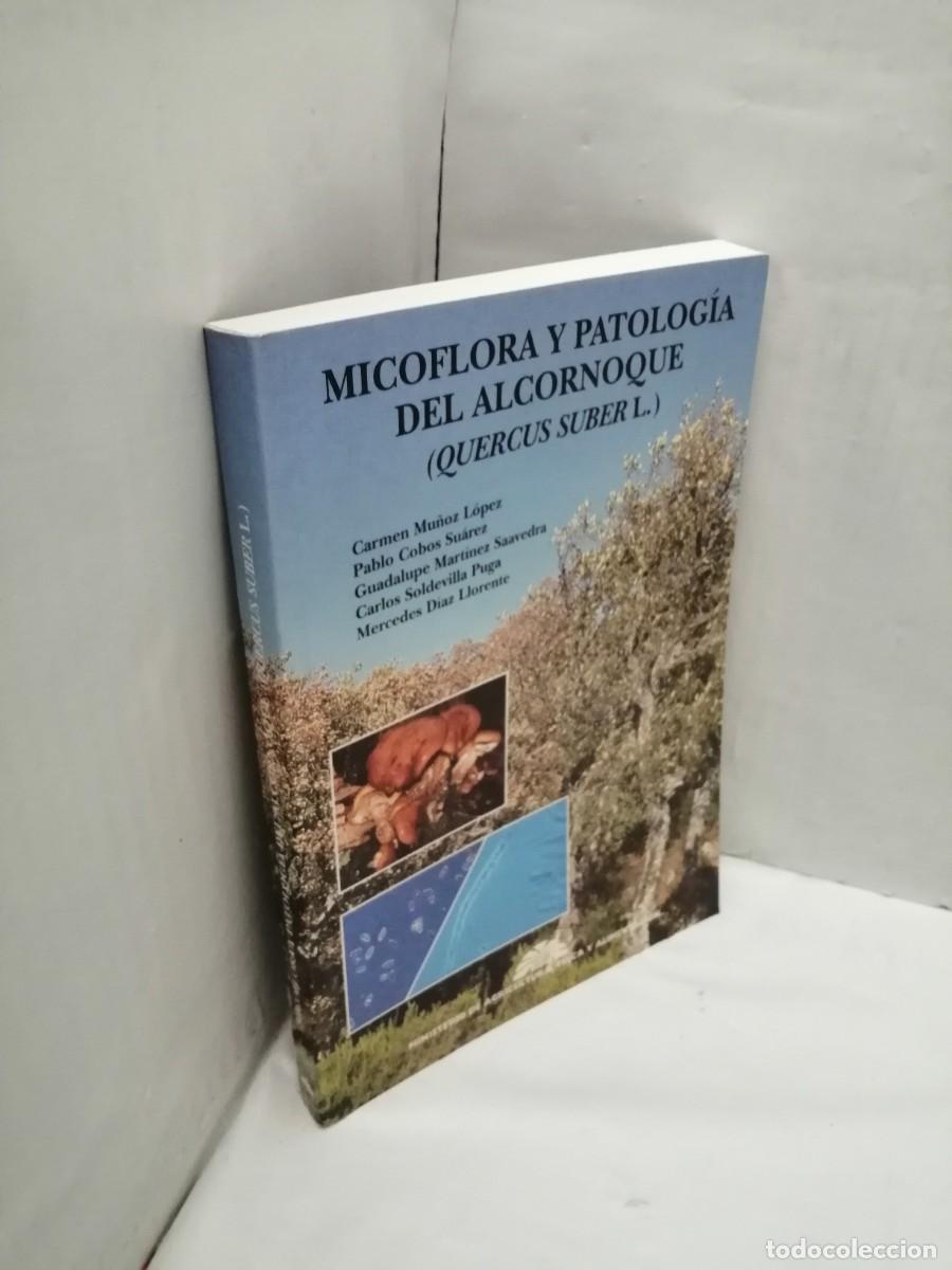Libros de segunda mano: Micoflora y Patolog&iacute;a del Alcornoque (Quercus Sabur L.) - Foto 3